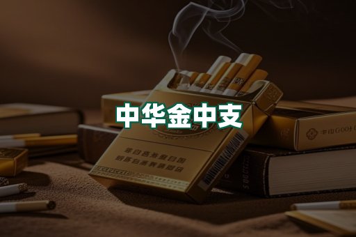 中华金中支